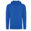Iqoniq Jasper recycled katoen hoodie