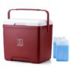 Brisby Koelbox 13L