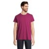 CRUSADER heren T-shirt