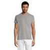 REGENT unisex T-shirt