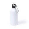 Sublimatie Fles Greims 40 cl.