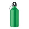 REMID MOSS Enkellaagse fles  500ml