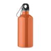 REMID MOSS Enkellaagse fles  500ml