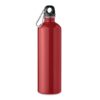 REBIG MOSS Enkellaagse fles  750ml