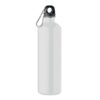 REBIG MOSS Enkellaagse fles  750ml