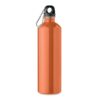 REBIG MOSS Enkellaagse fles  750ml