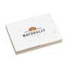 Memo Growing Paper Sticky Notes memoblokje